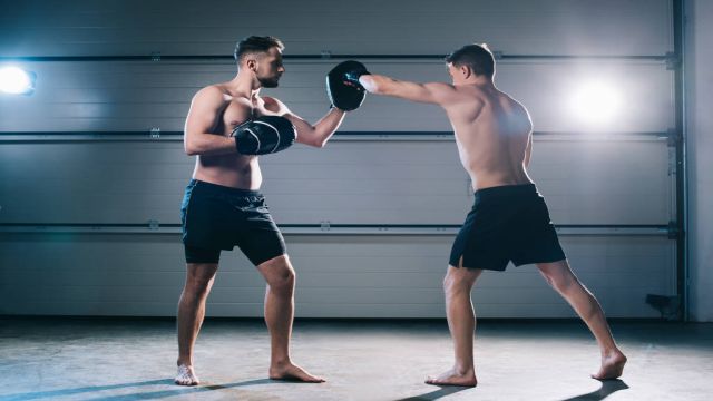 UFC turnuvalarının temel kuralları ve özellikleri nelerdir?