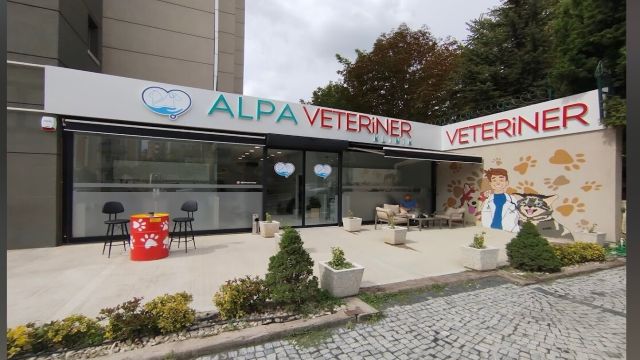 Kartal Veteriner Hizmetleri: Sevimli Dostlarınıza Güvenilir Dokunuş