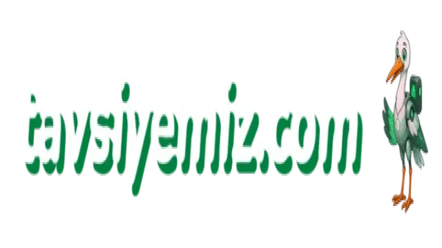 Tunceli Beyaz Eşya Servisi: Profesyonel Tamir ve Bakım Rehberi