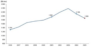 Kırmızı Et Üretim İstatistikleri, 2025