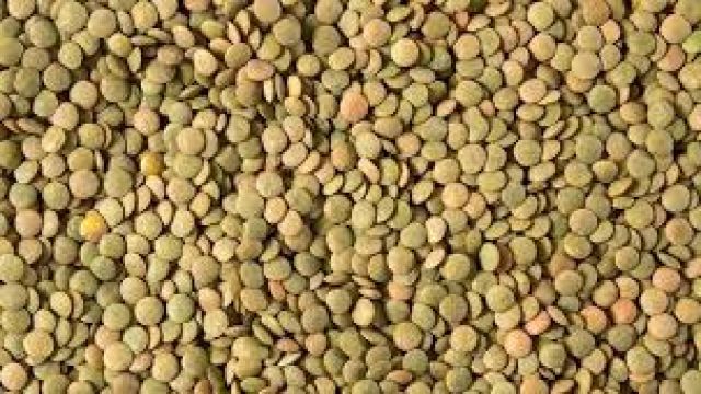 Asker Ocağının Vazgeçilmezi:Kara Şimşek