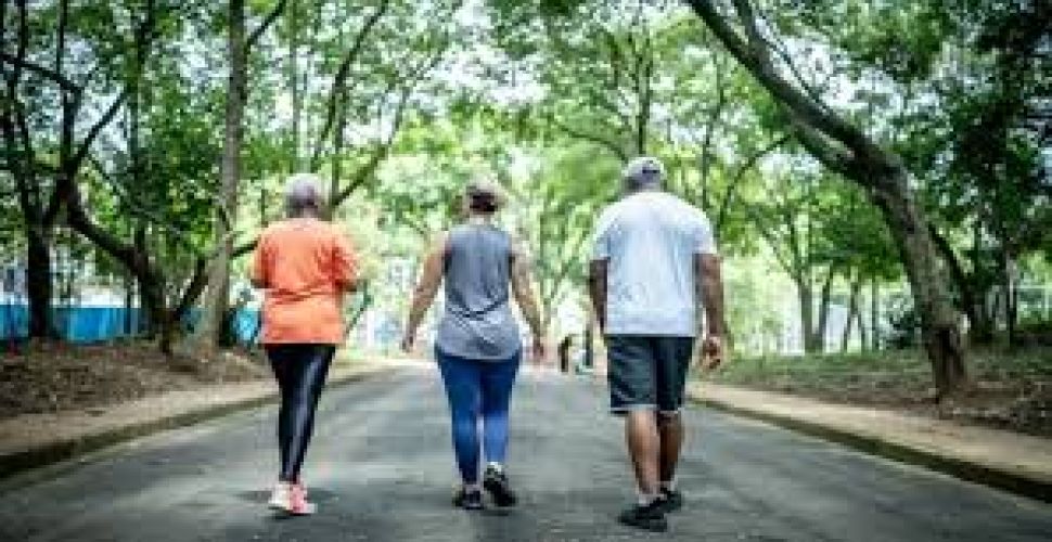 Yavaş ve Bilinçli Adımların Dansı: Japon Yürüyüşü